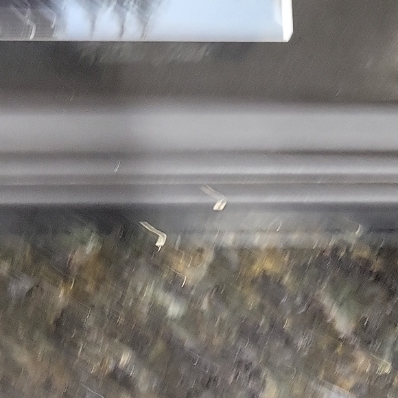 Scenic Landscape Framed Art in Black Signed Rita (Liab?) - Picture 6 of 7